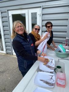 500793239 1164368322161752 3873498539202934047 n